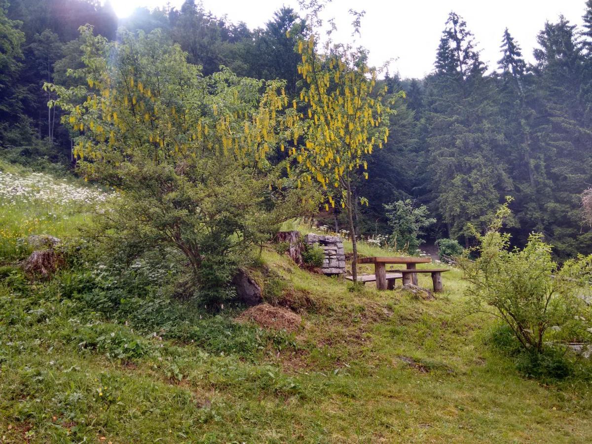 הוילה דאונה Agritur Manoncin מראה חיצוני תמונה