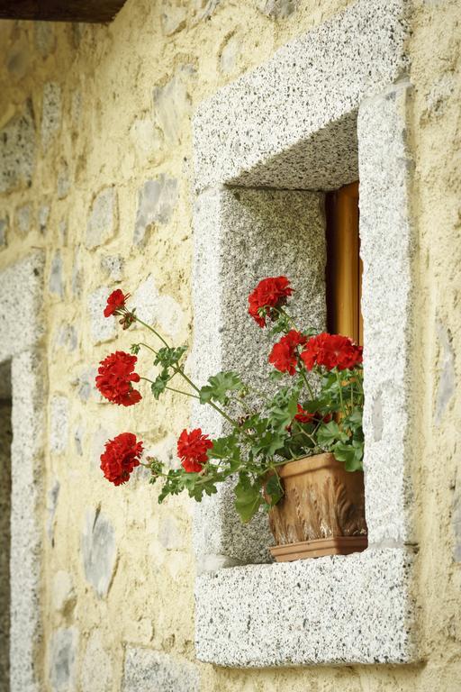 הוילה דאונה Agritur Manoncin מראה חיצוני תמונה